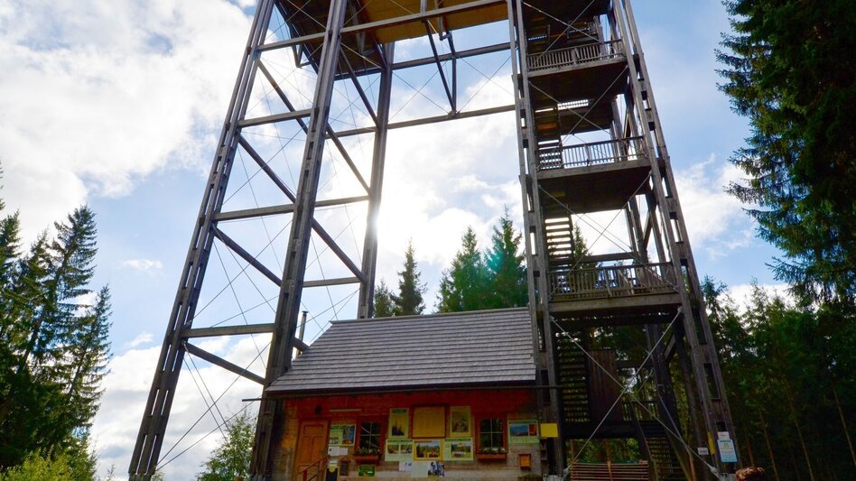 Wanderung Tremmelberg "Turm im Gebirge" von Knittelfeld - Touren-Impression #2.15 | © Erlebnisregion Murtal