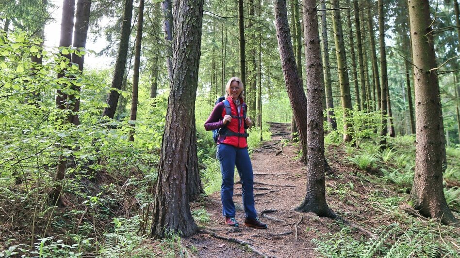 Hiking route Steinplan via Papst Pirschtling - Touren-Impression #2.4 | © Weges OG