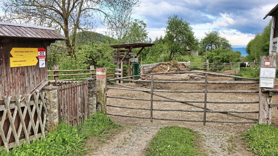 Hiking route Steinplan via Papst Pirschtling - Touren-Impression #2.6 | © Weges OG