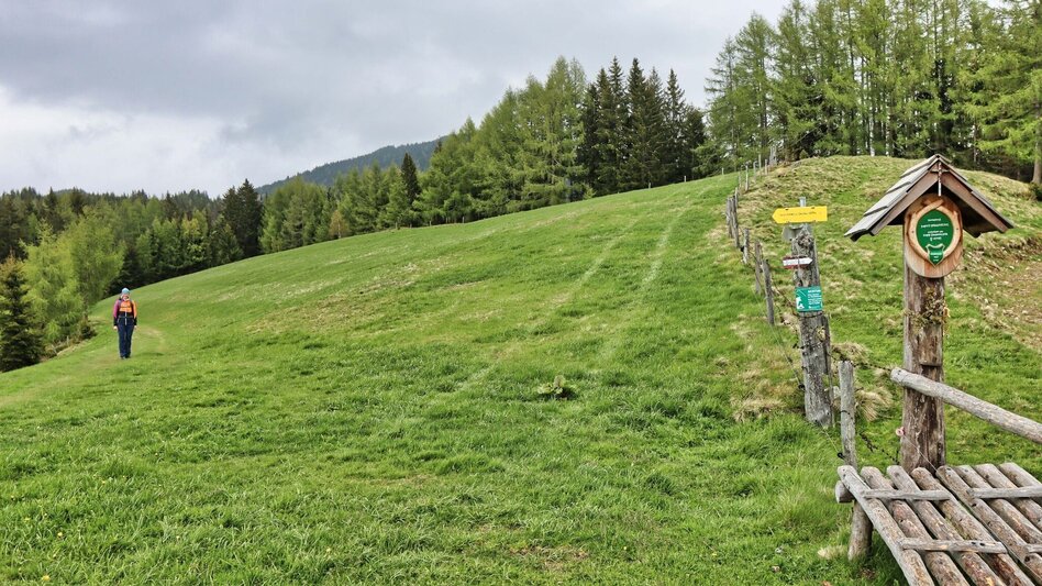 Hiking route Steinplan via Papst Pirschtling - Touren-Impression #2.7 | © Weges OG