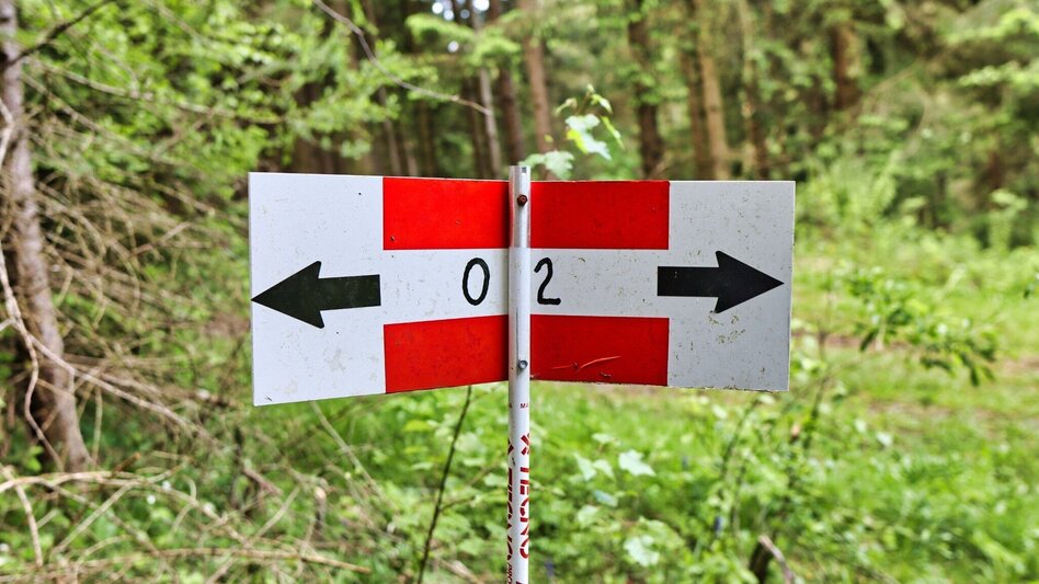 Hiking route Steinplan via Papst Pirschtling - Touren-Impression #2.5 | © Weges OG