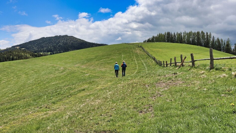 Hiking route Steinplan via Papst Pirschtling - Touren-Impression #2.8 | © Weges OG