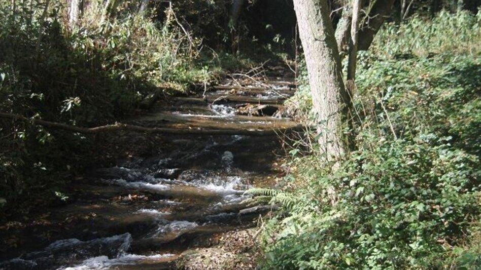 Hiking route Genuss-Schilchern DA - Touren-Impression #2.3 | © TVB Südsteiermark/Michael Lang