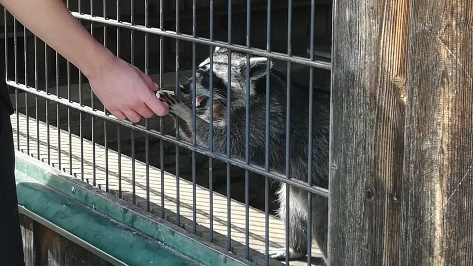 Hiking route Genuss-Schilchern DA - Touren-Impression #2.4 | © TVB Südsteiermark/Irene Löschnig