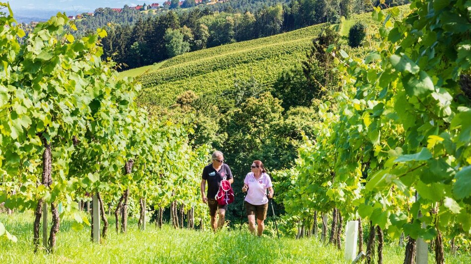 Hiking route Genuss-Schilchern DA - Touren-Impression #2.1 | © TVB Südsteiermark/Foto Augenblick