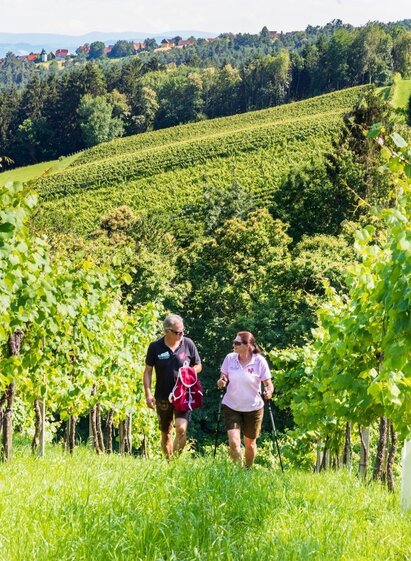 Genuss Schilchern Gundersdorf | © TVB Südsteiermark/Foto Augenblick | Foto Augenblick | © TVB Südsteiermark/Foto Augenblick