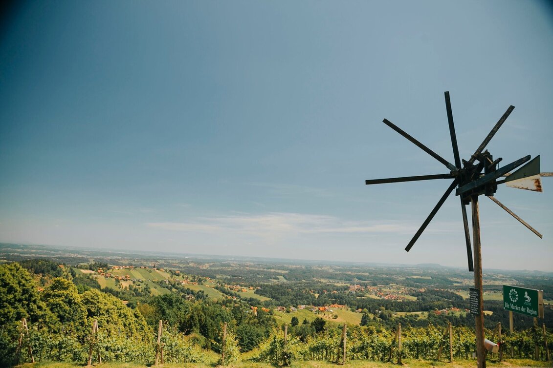 Wanderung GenussSchilchern DORT - Touren-Impression #1 | © TV Südsteiermark
