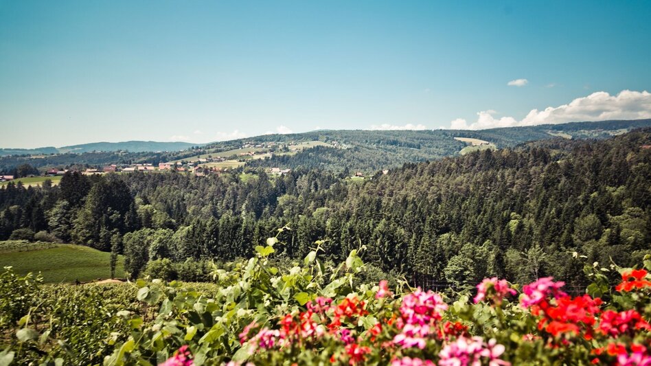 St. Stefan ob Stainz - Impression #2.4 | © TV Südsteiermark