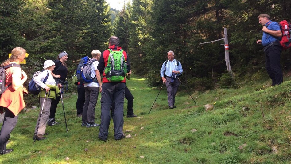 Hiking route Hochalm - Maria Schnee from "Kühberger" - Touren-Impression #2.3 | © Erlebnisregion Murtal