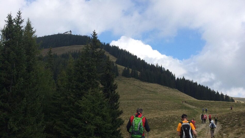 Hiking route Hochalm - Maria Schnee from "Kühberger" - Touren-Impression #2.5 | © Erlebnisregion Murtal