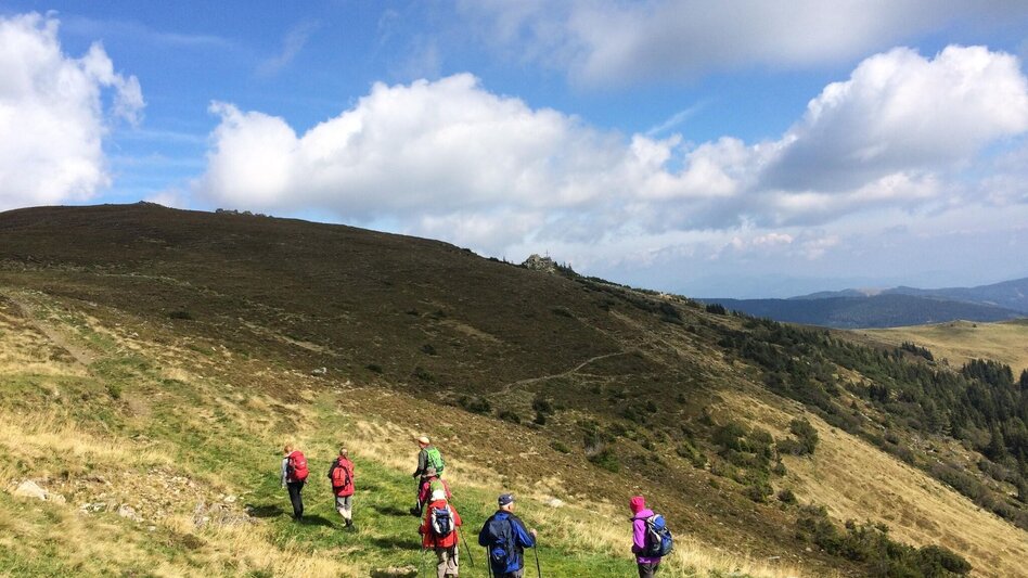 Hiking route Hochalm - Maria Schnee from "Kühberger" - Touren-Impression #2.9 | © Erlebnisregion Murtal