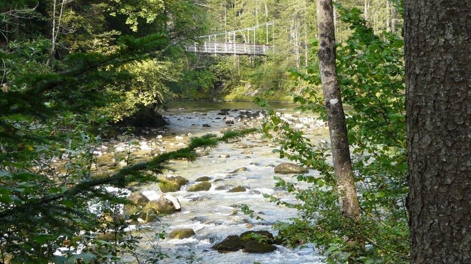 Hiking route Koppentalweg - path through the wilderness - Touren-Impression #2.1 | © Ausseerland