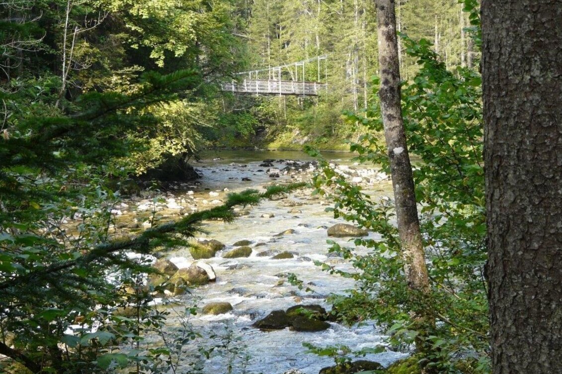 Hiking route Koppentalweg - path through the wilderness - Touren-Impression #1 | © Ausseerland