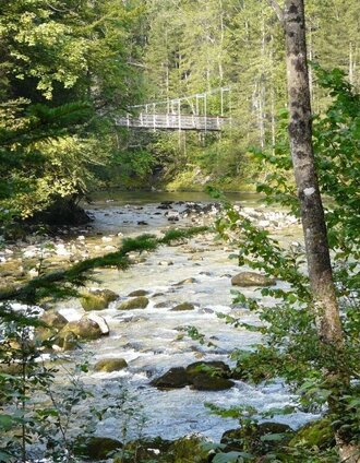 Das Wilde Koppental (mit Hängebrücke) | © Ausseerland