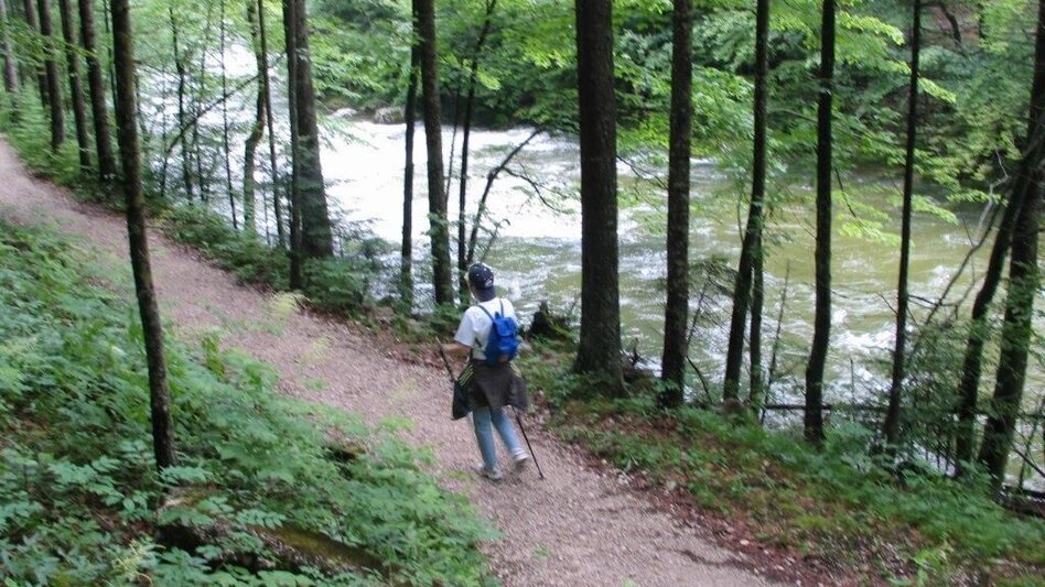 Hiking route Koppentalweg - path through the wilderness - Touren-Impression #2.5 | © Ausseerland
