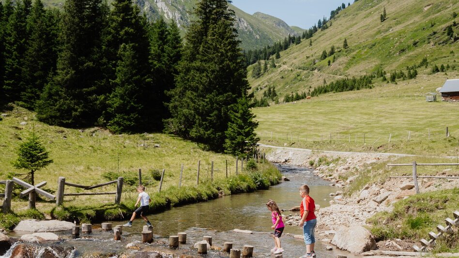 Regional hiking trail Eselsberger Alm Action Way - Touren-Impression #2.3 | © TVB Murau
