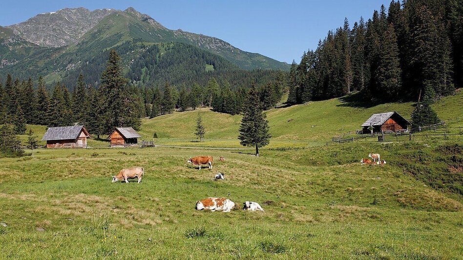 Hiking route Hölleralm - Heavenly place 6 - Touren-Impression #2.2 | © Erlebnisregion Murtal