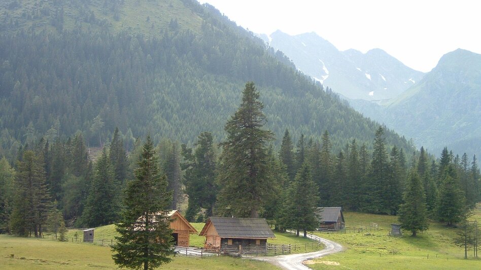 Hiking route Hölleralm - Heavenly place 6 - Touren-Impression #2.3 | © Erlebnisregion Murtal