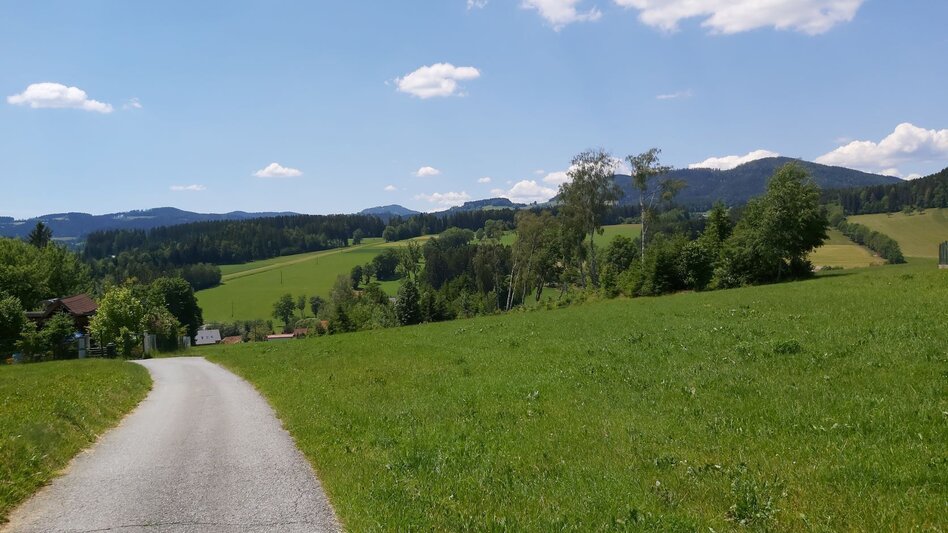 Bike Riding country party - cycling tour, Fladnitz an der Teichalm - Touren-Impression #2.4 | © TVB Oststeiermark