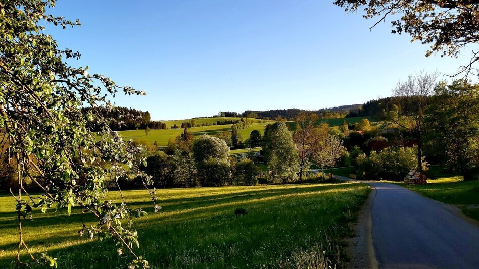 Bike Riding country party - cycling tour, Fladnitz an der Teichalm - Touren-Impression #2.7 | © TVB Oststeiermark