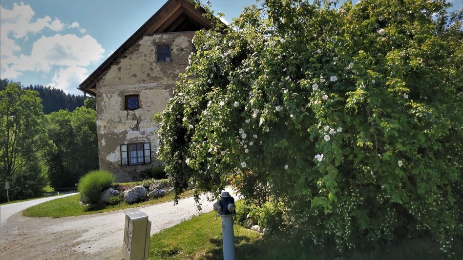 Bike Riding country party - cycling tour, Fladnitz an der Teichalm - Touren-Impression #2.8 | © TVB Oststeiermark