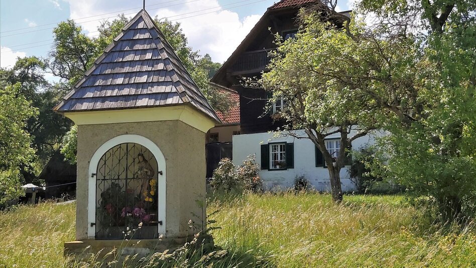 Bike Riding country party - cycling tour, Fladnitz an der Teichalm - Touren-Impression #2.1 | © TVB Oststeiermark