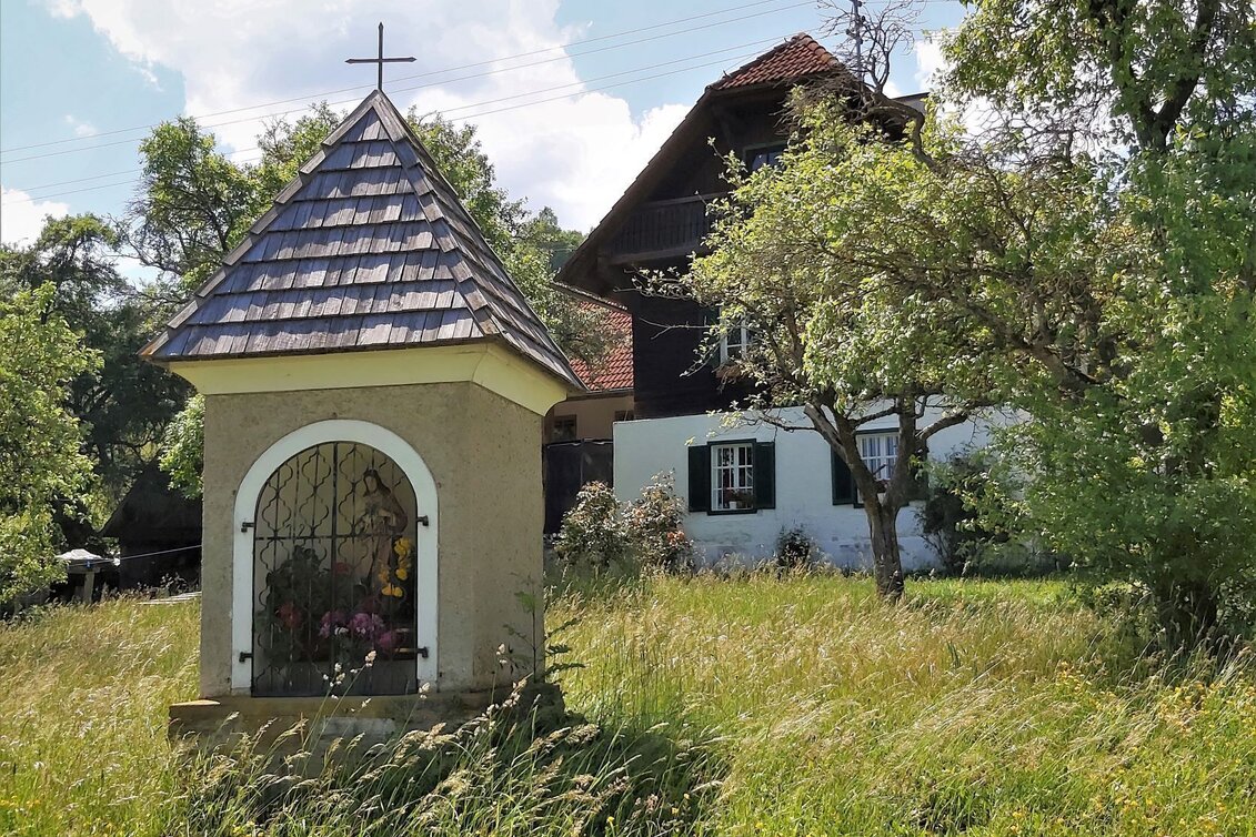 Bike Riding country party - cycling tour, Fladnitz an der Teichalm - Touren-Impression #1 | © TVB Oststeiermark