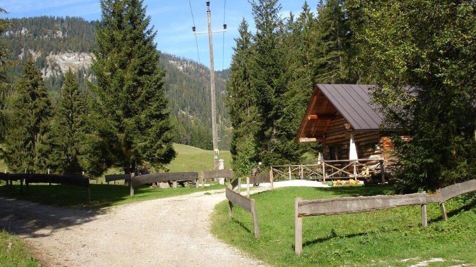 Trailrunning Kampl Rundweg - Touren-Impression #2.2 | © Mediasoft