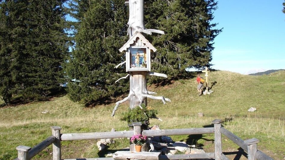 Trailrunning Kampl Rundweg - Touren-Impression #2.5 | © Mediasoft