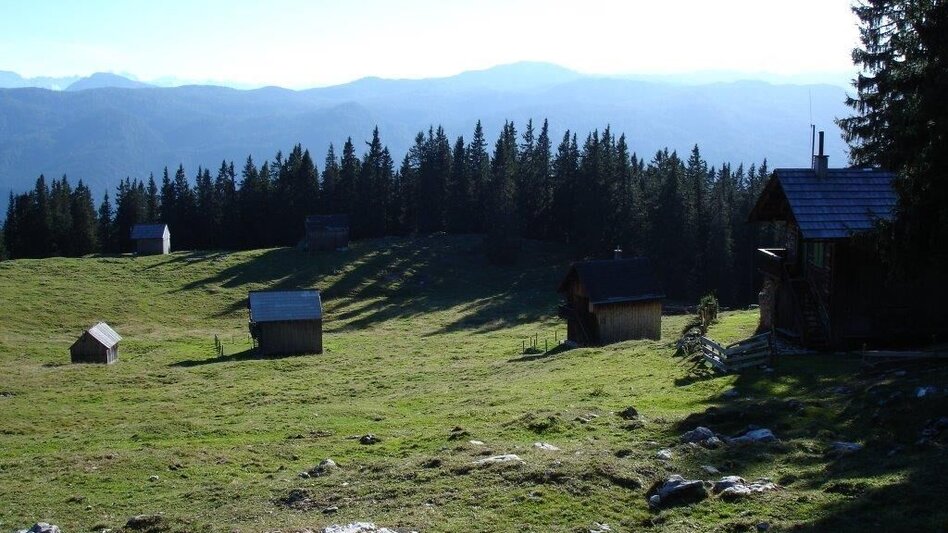 Trailrunning Kampl Rundweg - Touren-Impression #2.6 | © Mediasoft