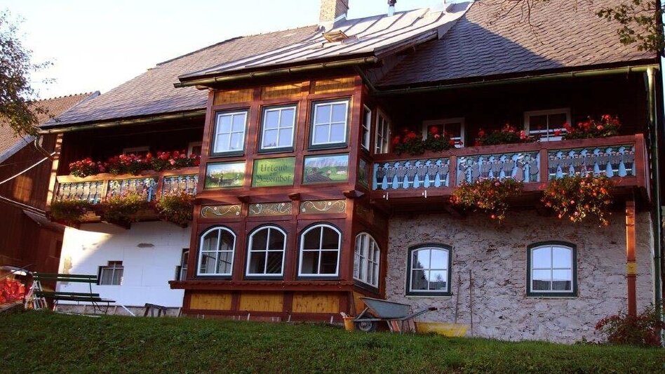 Trailrunning Kampl Rundweg - Touren-Impression #2.8 | © Mediasoft