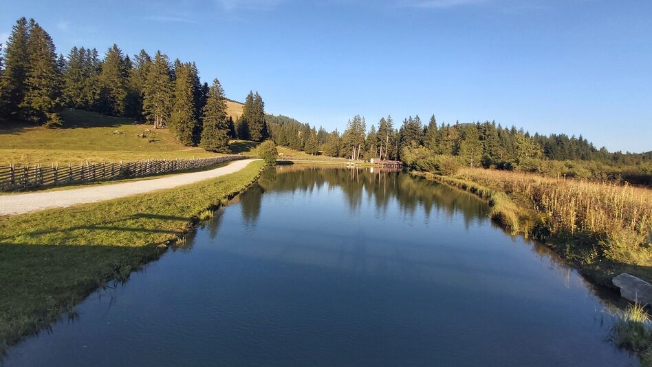 Radfahren Ochsentour, Teichalm - Sommeralm - Touren-Impression #2.2 | © TVB Oststeiermark