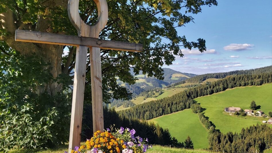 Radfahren Ochsentour, Teichalm - Sommeralm - Touren-Impression #2.11 | © TVB Oststeiermark