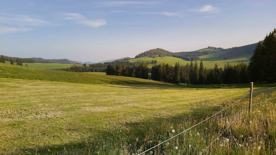 Radfahren Ochsentour, Teichalm - Sommeralm - Touren-Impression #2.17 | © TVB Oststeiermark