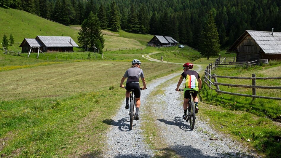 Mountain Biking Tour 4b - MTB  - Hölleralmrunde - Touren-Impression #2.1 | © Gästeverein Hohentauern