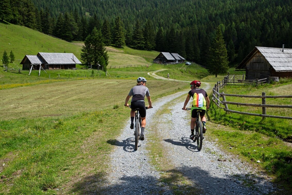 Mountain Biking Tour 4b - MTB  - Hölleralmrunde - Touren-Impression #1 | © Gästeverein Hohentauern