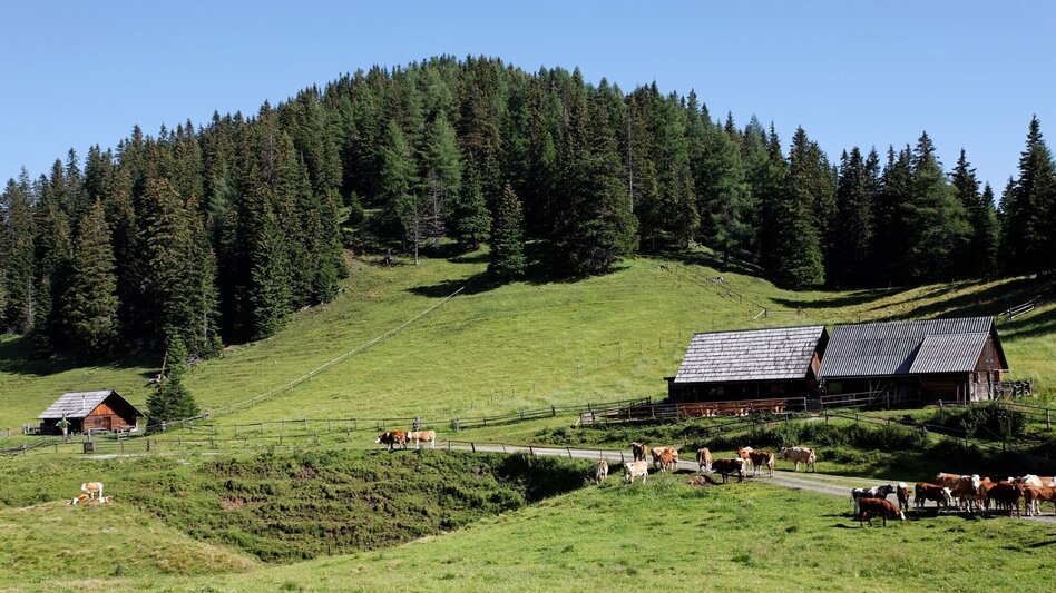 Mountain Biking Tour 4b - MTB  - Hölleralmrunde - Touren-Impression #2.2 | © Erlebnisregion Murtal