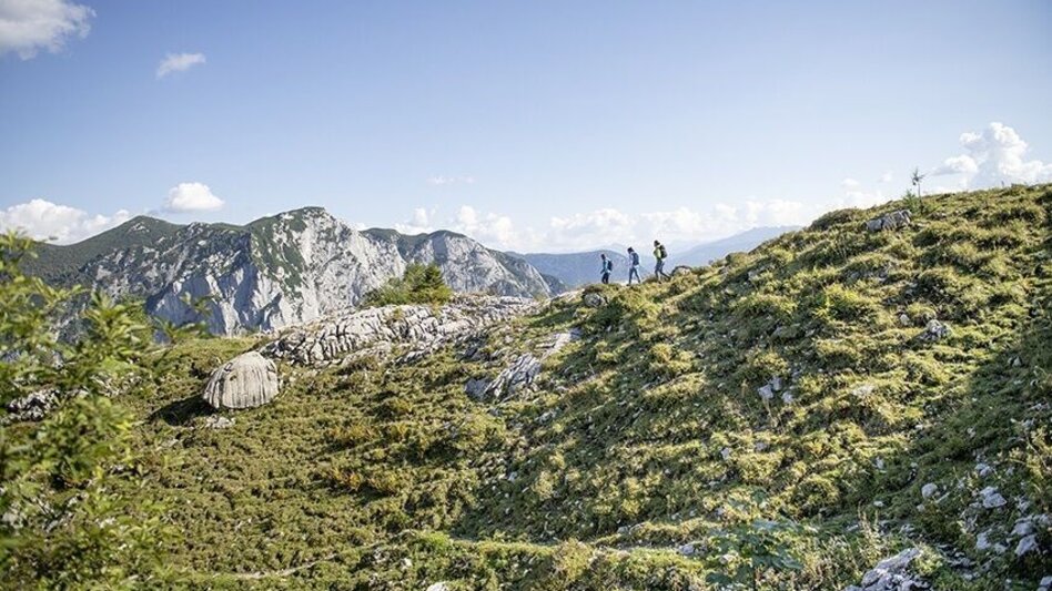 Trailrunning Bergtour auf den Loser - Touren-Impression #2.7 | © Unbekannt