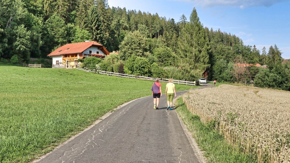 Hiking route Tremmelberg "Tower in the Mountains" above Vorder-Tremmel - Touren-Impression #2.2 | © Weges OG