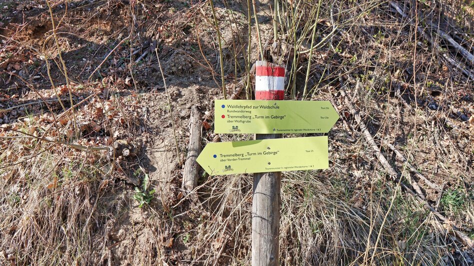 Hiking route Tremmelberg "Tower in the Mountains" above Vorder-Tremmel - Touren-Impression #2.3 | © Weges OG