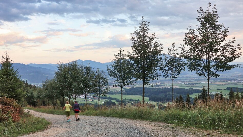 Hiking route Tremmelberg "Tower in the Mountains" above Vorder-Tremmel - Touren-Impression #2.5 | © Weges OG
