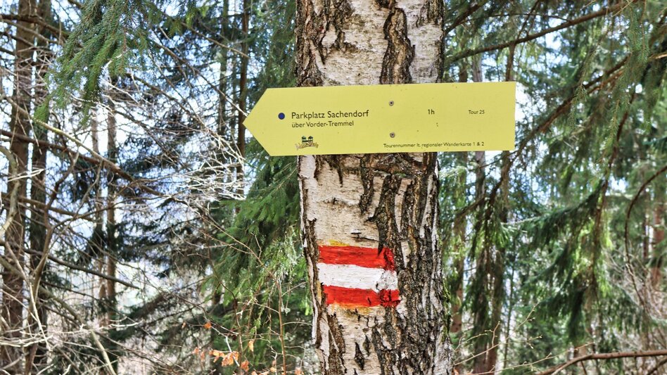 Hiking route Tremmelberg "Tower in the Mountains" above Vorder-Tremmel - Touren-Impression #2.7 | © Weges OG