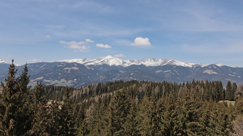 Hiking route Tremmelberg "Tower in the Mountains" above Vorder-Tremmel - Touren-Impression #2.1 | © Weges OG