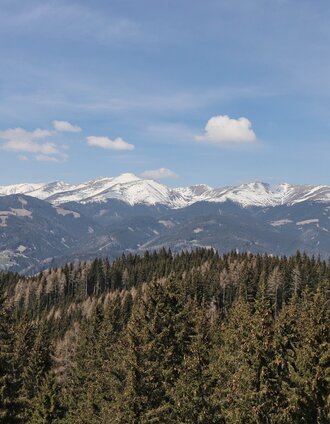 Wir genießen die Aussicht von den Türmen | Weges OG | © Weges OG