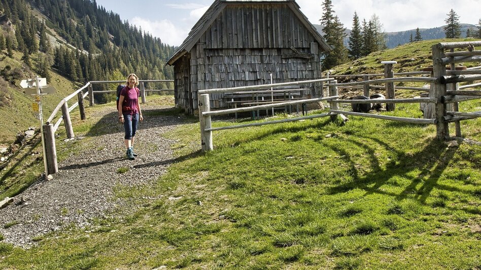 Bergtour Hämmerkogel - Touren-Impression #2.1 | © Weges OG