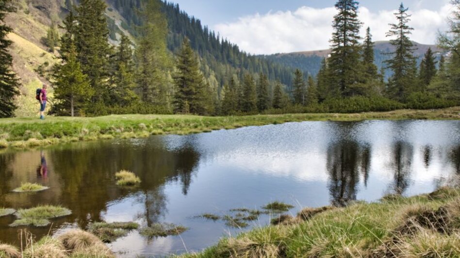 Bergtour Hämmerkogel - Touren-Impression #2.2 | © Weges OG
