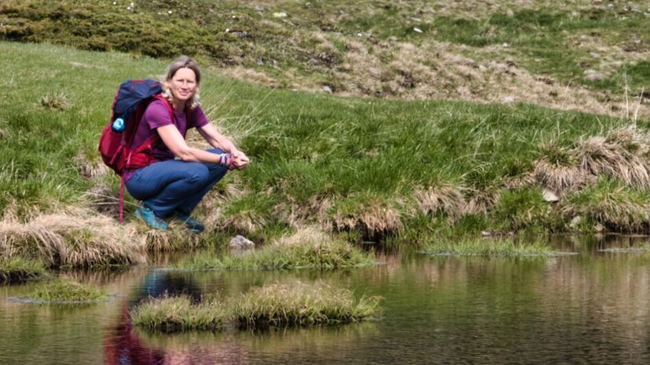 Bergtour Hämmerkogel - Touren-Impression #2.3 | © Weges OG