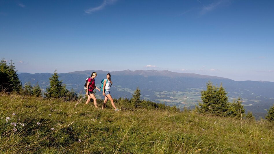 Mountain Hike Hochstubofen - Touren-Impression #2.3 | © Tourismusverband Murau