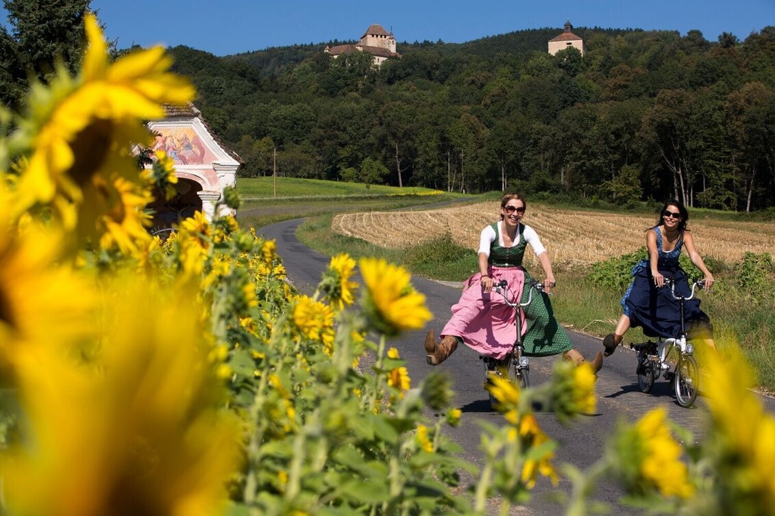 Bike Riding E-bike pleasure tour through Eastern Styria - Touren-Impression #1 | © Oststeiermark Tourismus