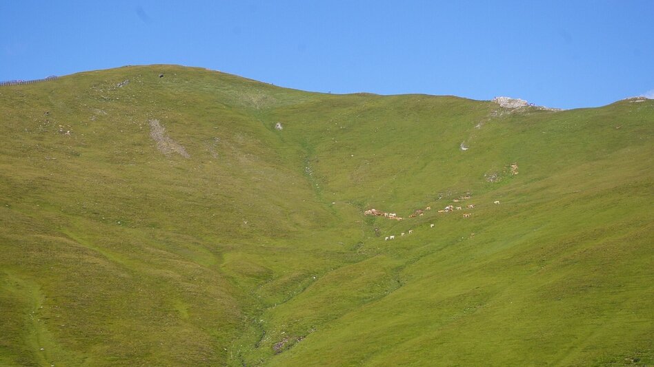 Mountain Hike Tanzstattkapelle-Hoher Zinken - Touren-Impression #2.1 | © Tourismusverband Murau